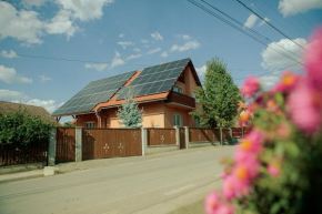 Vidéki Vendégház - Pensiune Rurală